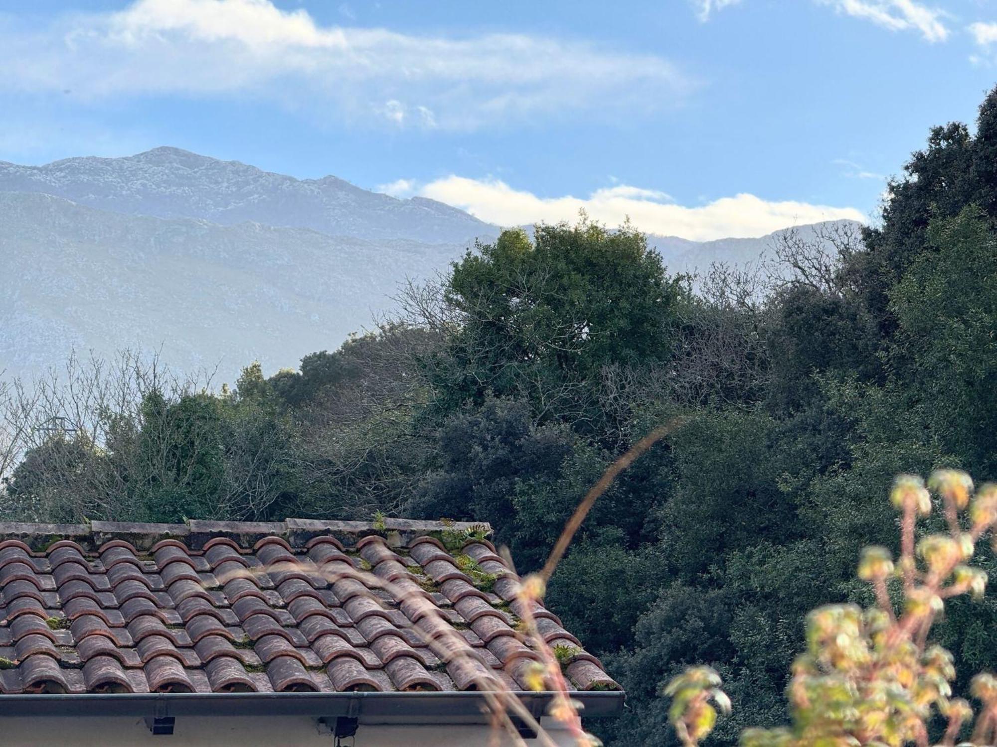 Peñaquinera En Apartamento *